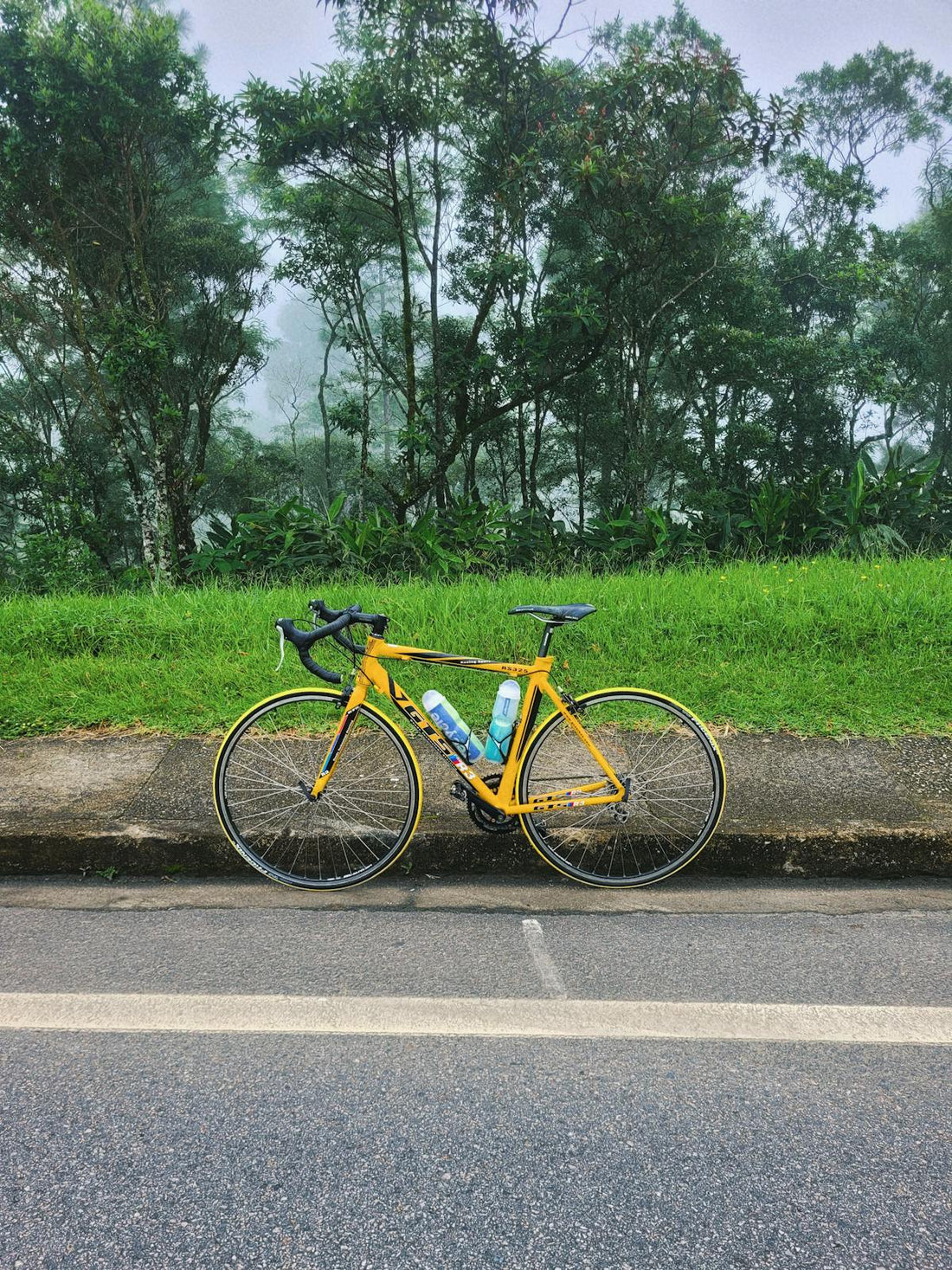 The Real Cost of Skipping Your Bike Service: A Mechanics Perspective