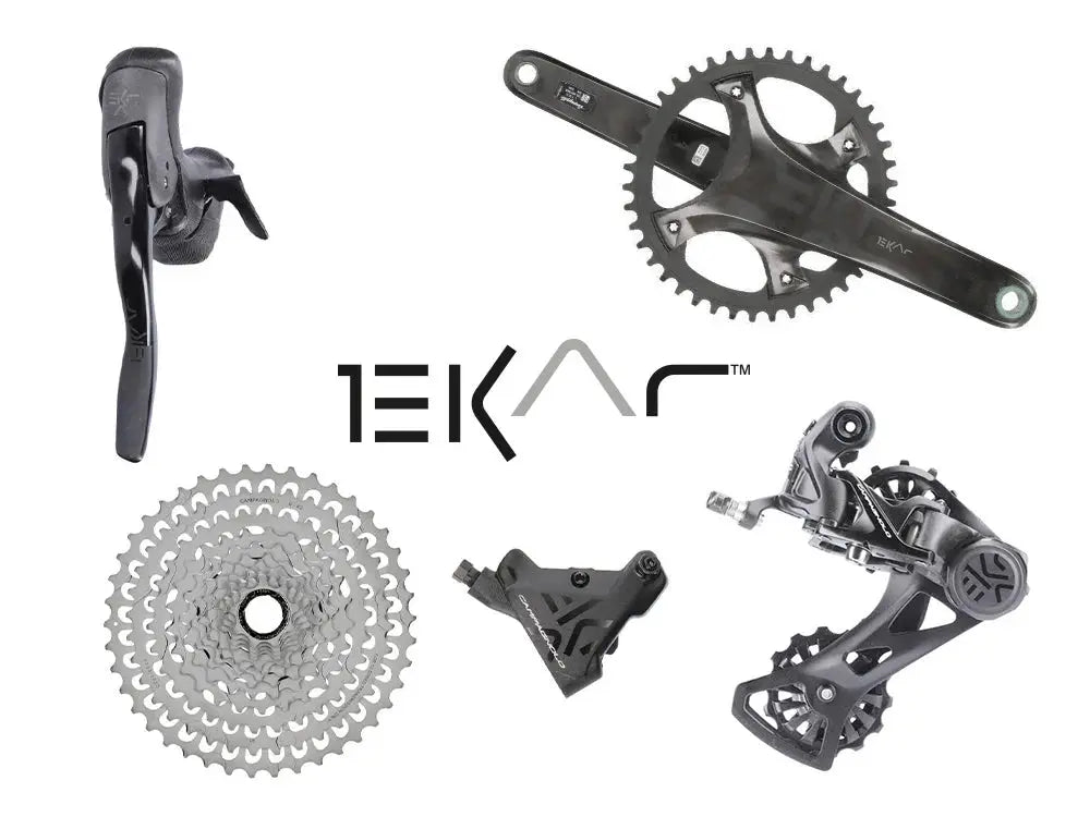 Campagnolo DB - 310 Disc Brake Pads and Pin Set with Spring - Bike Clinique