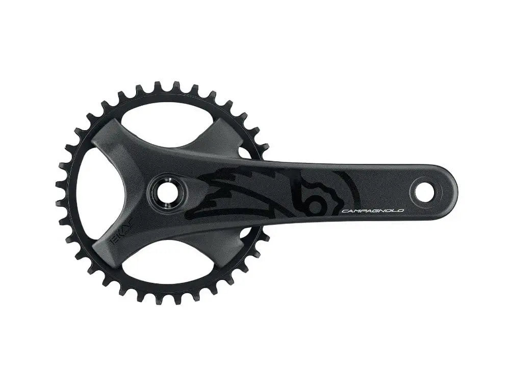Campagnolo Veloce 9sp Cassette 11 - 23 - Bike Clinique