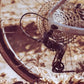 Campagnolo Veloce 9sp Cassette 11 - 23 - Bike Clinique