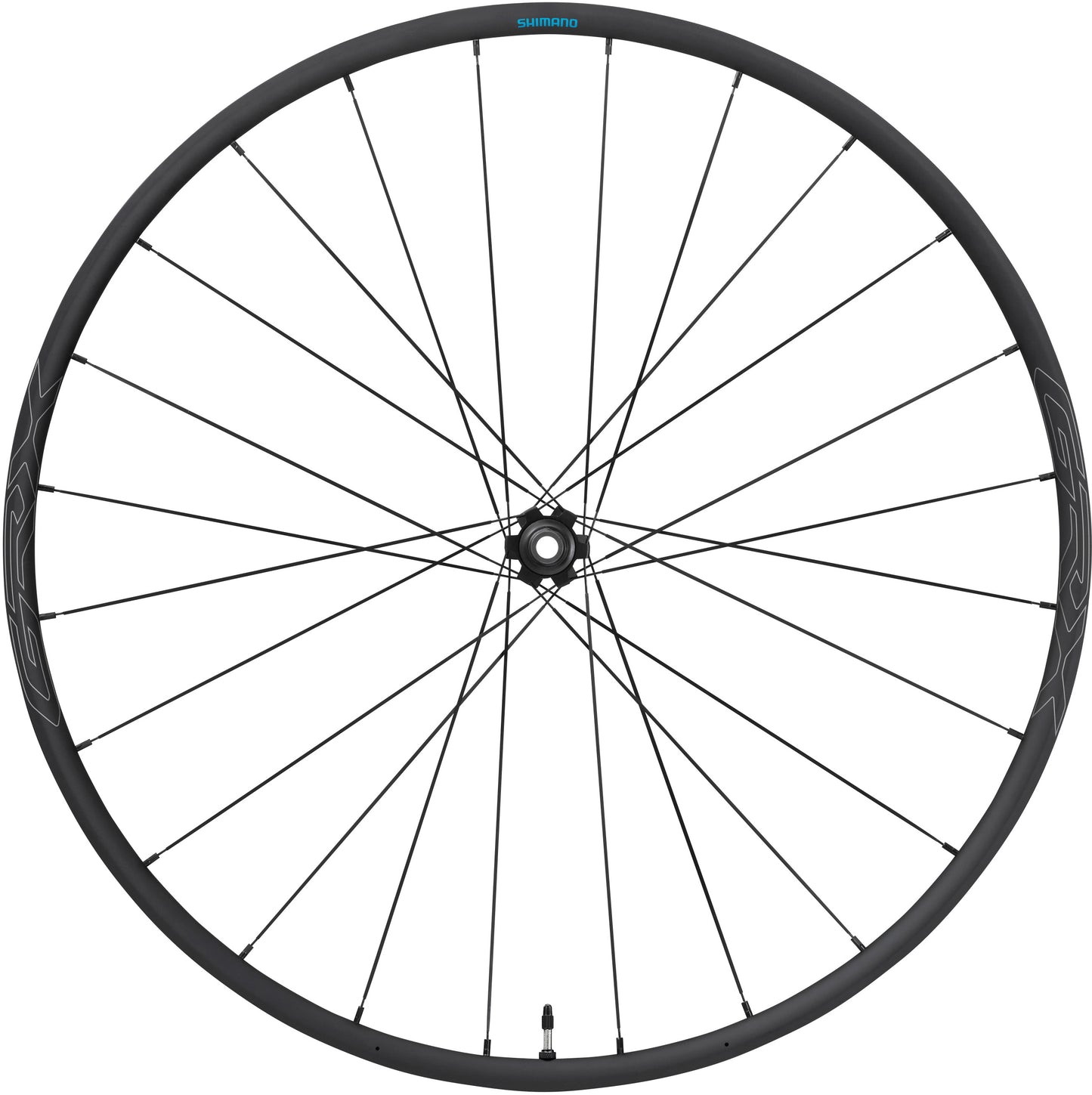 WHEL RX570 700C 12x100mm CL BK FR