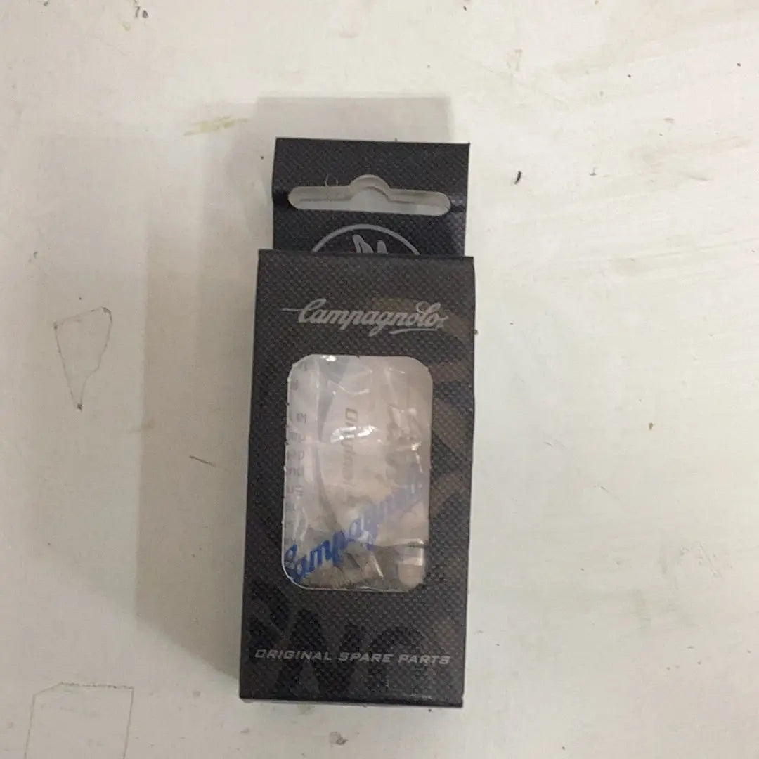 Campagnolo crankset bolts - Bike Clinique
